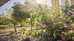 Ein Garten mit blühenden Pflanzen und einem Metallzaun.