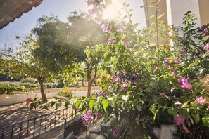 Exterior detail - Barefoot Guesthouse – A Warm, Spacious Hideaway in the Ribeira d’Ilhas Valley (Santo Isidoro)