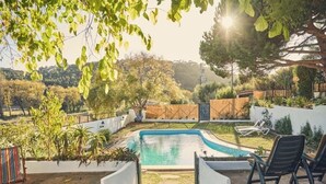 Ein Garten mit Swimmingpool, umgeben von einer weißen Mauer und verschiedenen Pflanzen.