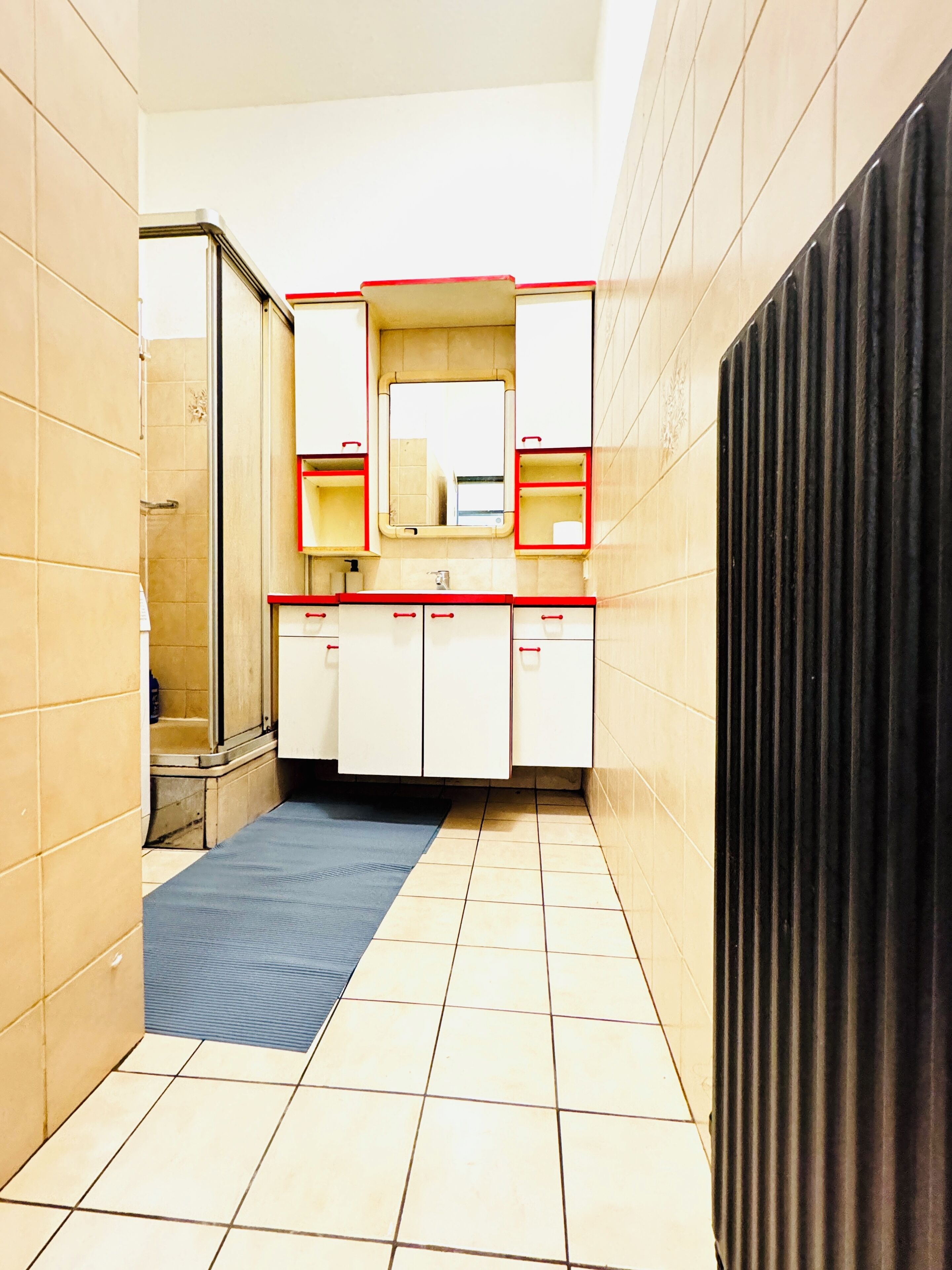 Basic Apartment | Bathroom | Shower, free toiletries, hair dryer, towels