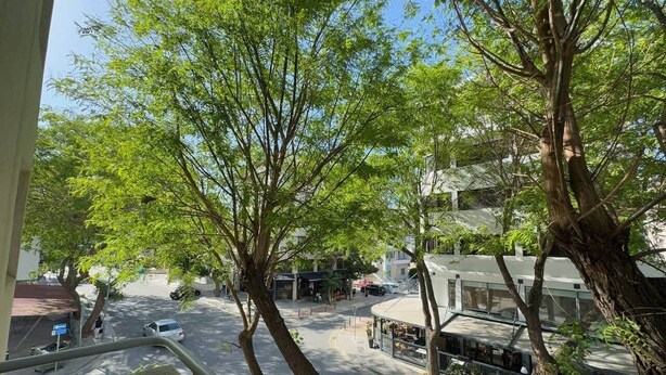Straatbeeld met bomen, een café en een gebouw met schuin dak.