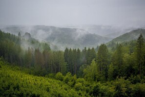 Miscellaneous - Au Coeur d'Alle by Belvilla- Triple Room (Vresse-sur-Semois)