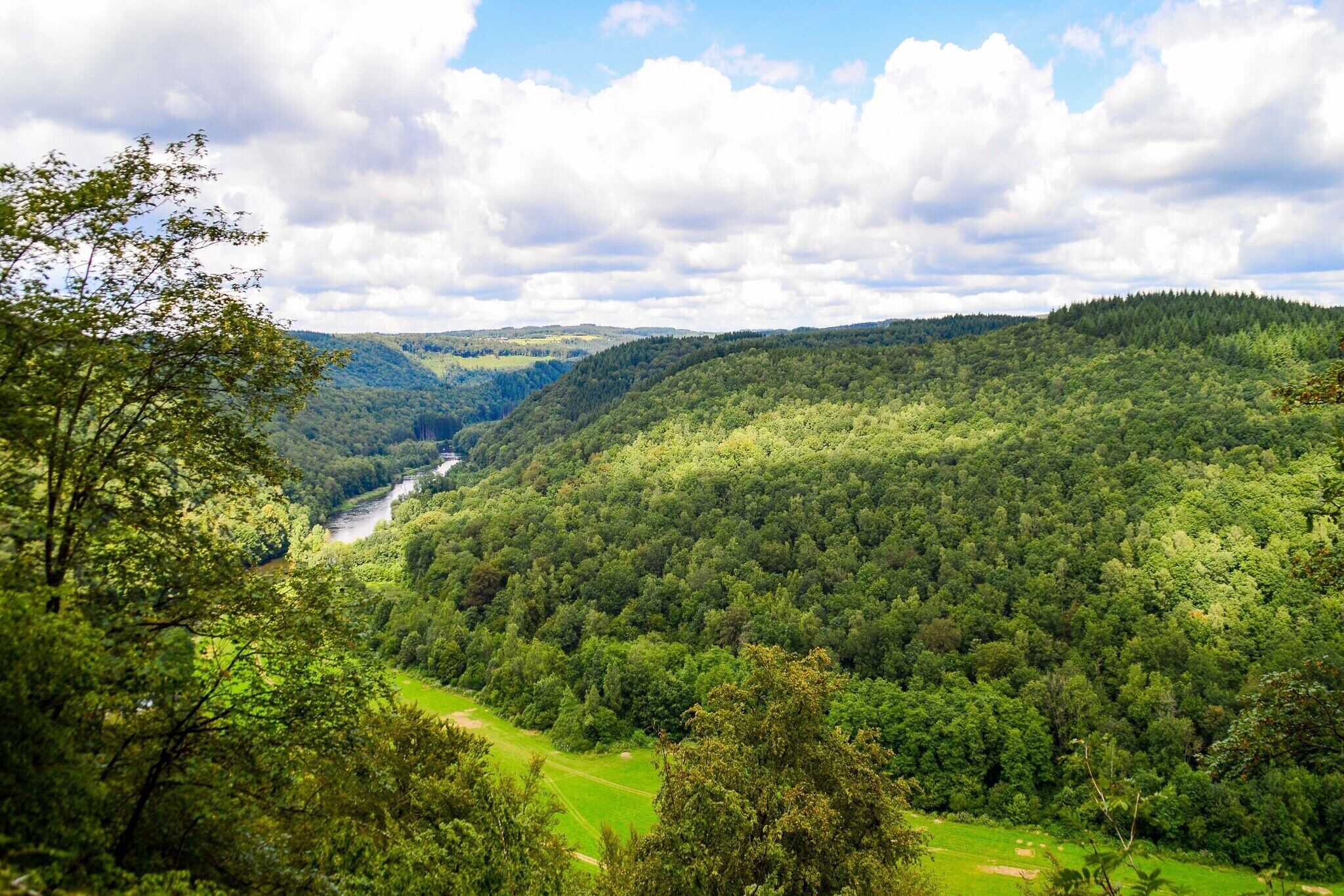 A lush green valley with a river, dense forest, and a clear sky.