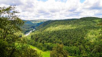 A lush green valley with a river, dense forest, and a clear sky.