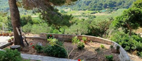 Terrain de lâhĂ©bergement