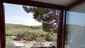 A room with a large window overlooking a landscaped garden with trees and shrubs.