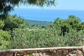 Vista desde la propiedad