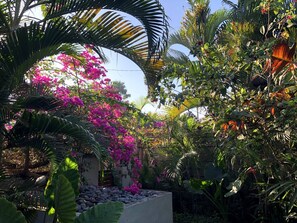 Villa, 1 Schlafzimmer, eigener Pool | Garten