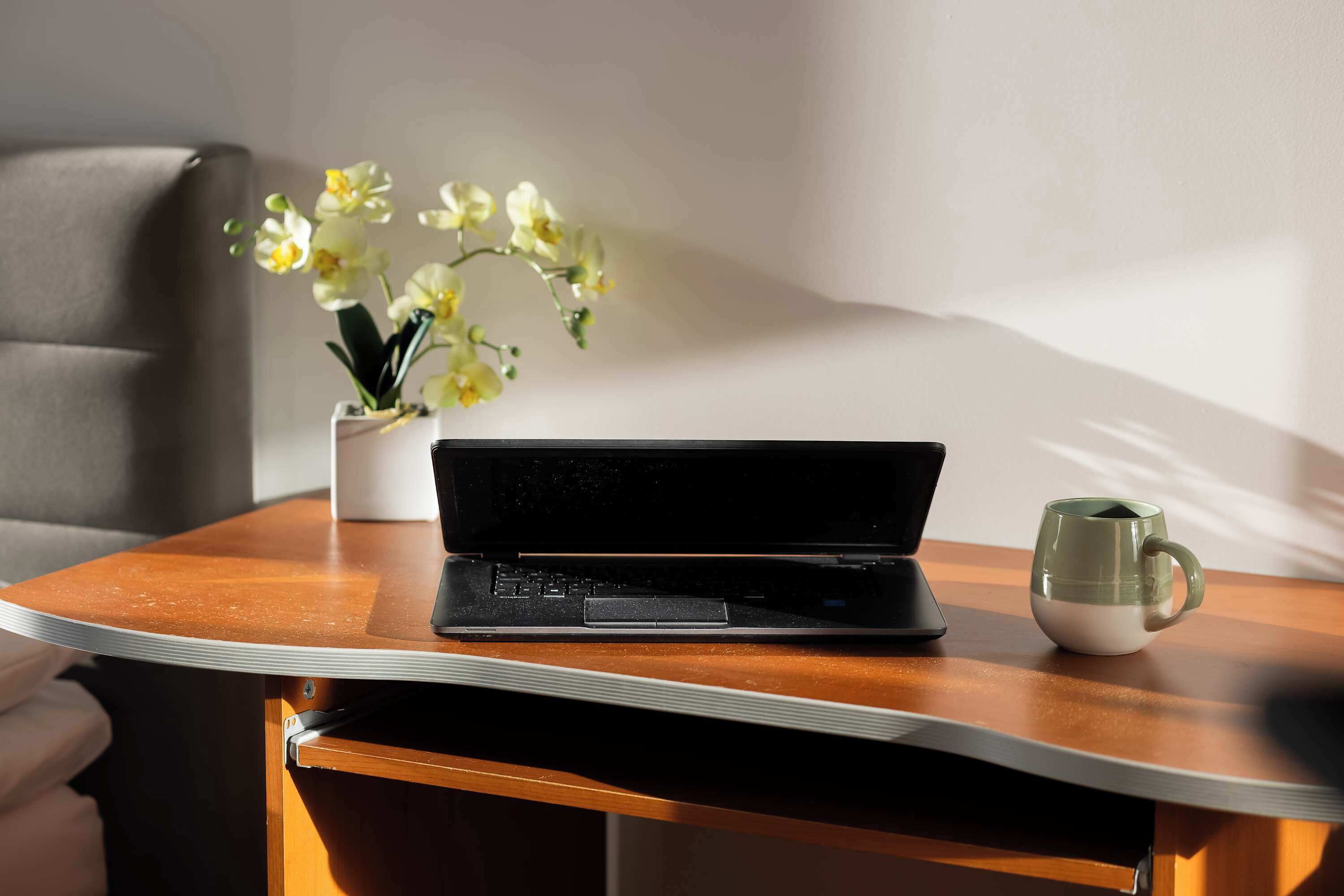 Ein Laptop auf einem Holztisch zusammen mit einer Tasse und einem Blumentopf.