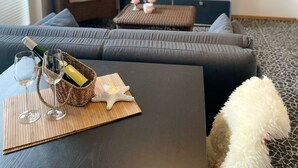 تلفزيون، مشغل دي في دي، ستيريو