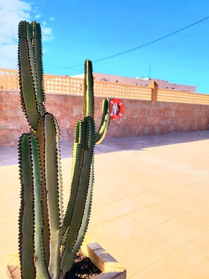 Property grounds - Enjoy House, Large heated swimming pool & Jacuzzi, bbq and beautiful landscapes (Puerto del Rosario)