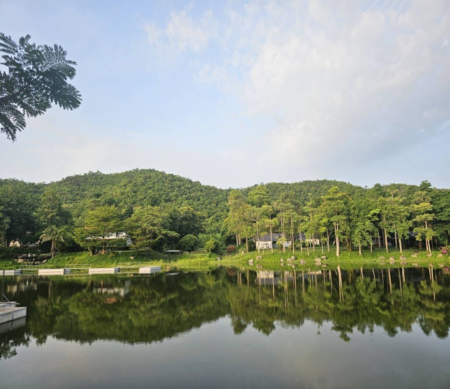 Une vue paisible sur un lac, avec le reflet de la végétation environnante et quelques bâtiments visibles au loin.