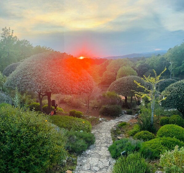 A garden pathway surrounded by various trees and shrubs.