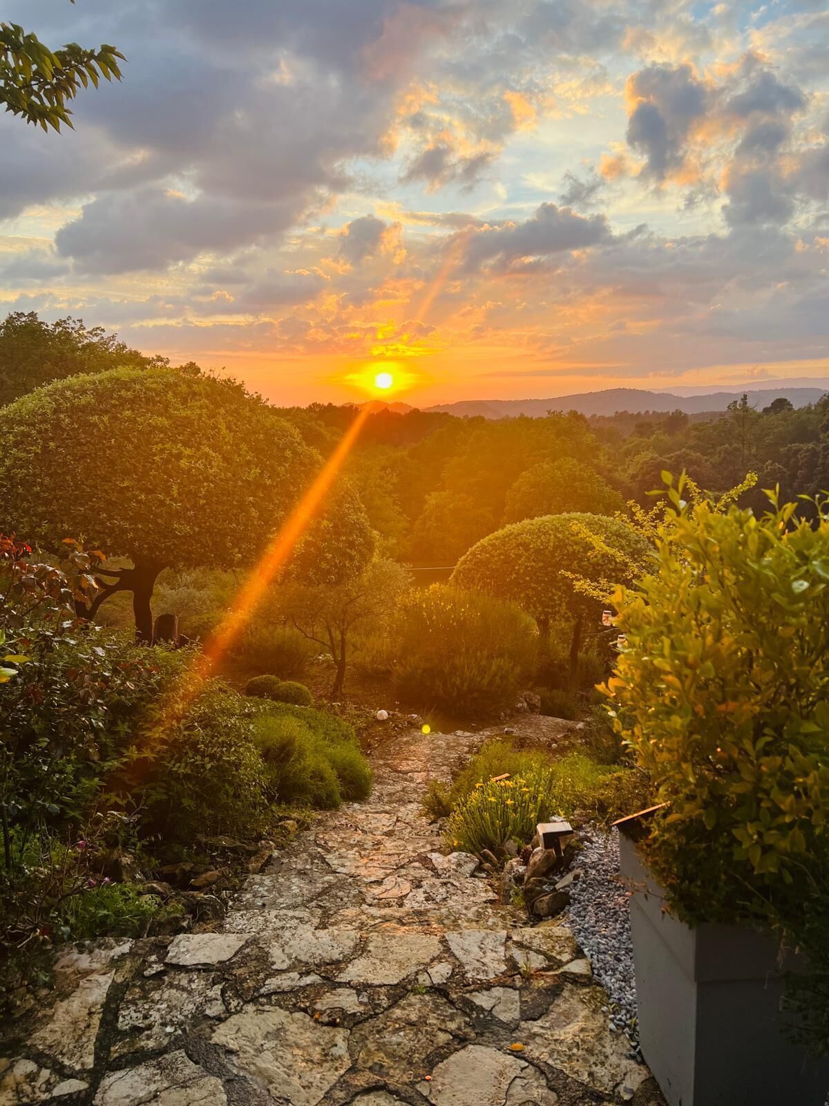 A stone pathway leading through a lush garden with a sunset in the background.