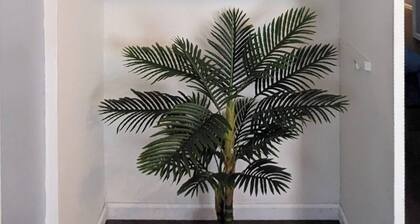 Spacious 3 bedroom home by Hancock Park and 10 minutes to Hollywood Walk of Fame