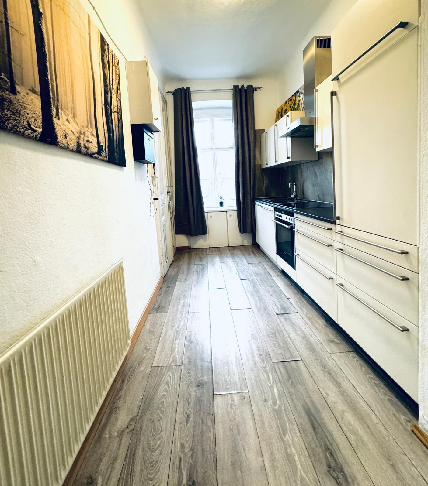 Basic Apartment | Private kitchen | Mini-fridge, oven, stovetop, dishwasher