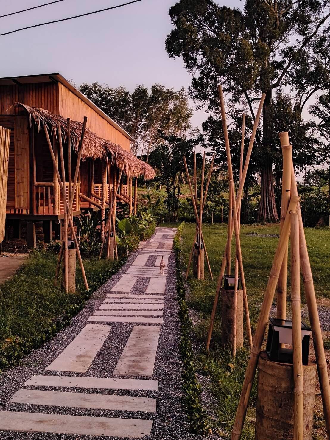 Exterior