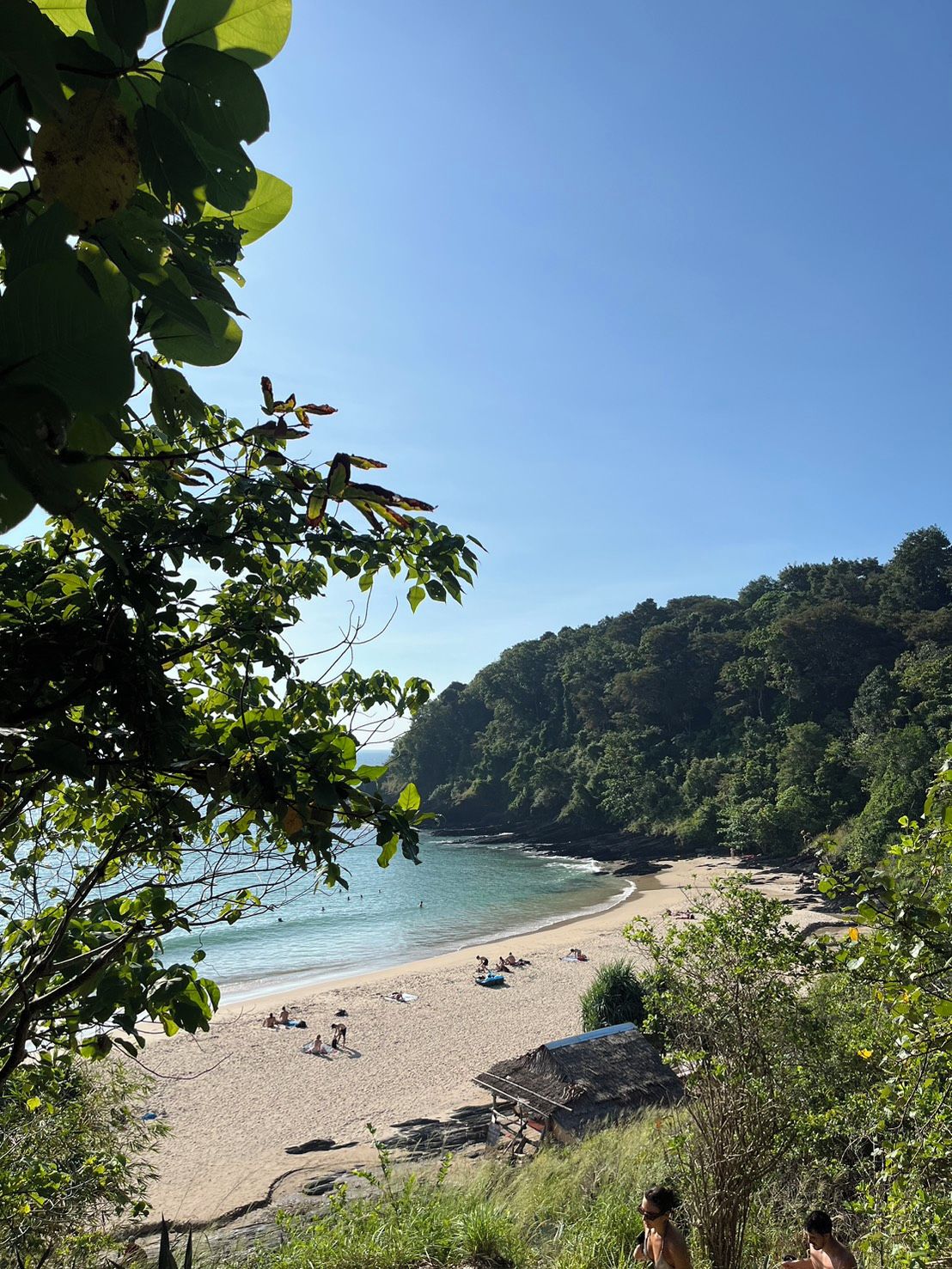 A beach with clear skies, a sandy shore, and lush greenery in the background.