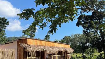 A bungalow with a thatched roof, surrounded by lush greenery and a clear blue sky.