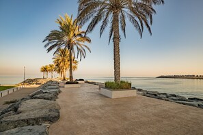 Un paseo marítimo bordeado de palmeras y vista al mar.