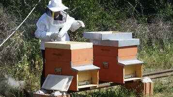 Terrein van de accommodatie