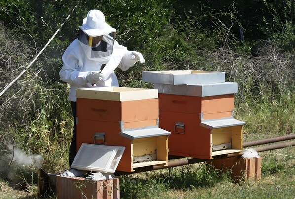 Terrein van de accommodatie