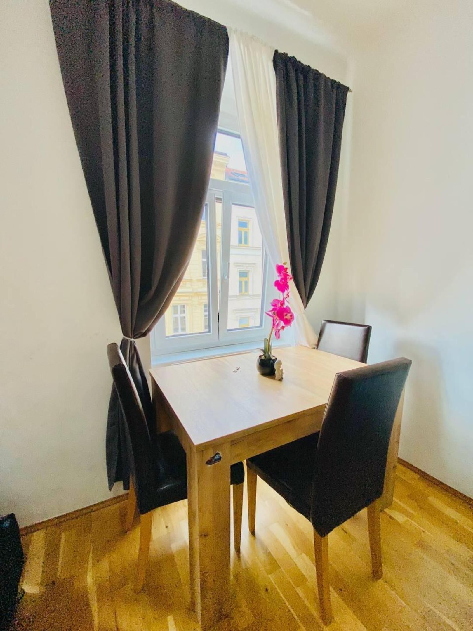 Basic-Apartment | Ausblick vom Zimmer