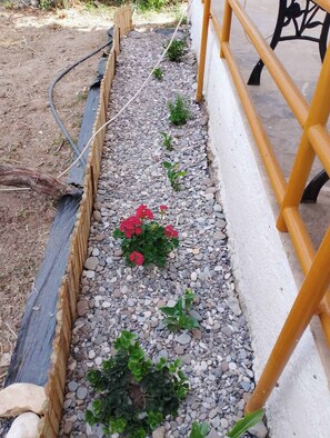 A garden bed with gravel, small plants, and red flowers.
