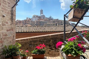 A rooftop terrace with terracotta tiles, potted plants, and a view of a historic cityscape with domed buildings. - CAMPOREGIO 31 - in the center with a view of the Duomo (Siena)