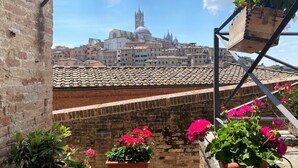 A rooftop terrace with terracotta tiles, potted plants, and a view of a historic cityscape with domed buildings. - CAMPOREGIO 31 - in the center with a view of the Duomo (Siena)