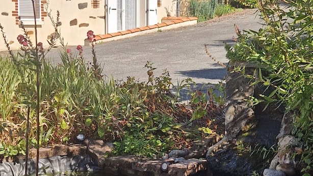 Un bâtiment en pierre avec un toit en tuiles, un petit étang parsemé de nénuphars et une végétation luxuriante tout autour.