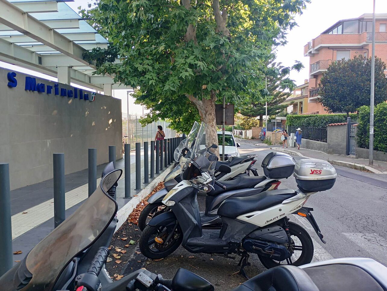 A row of parked motorcycles, a tree, and a building with a sign that reads 'S Marinellaff'.