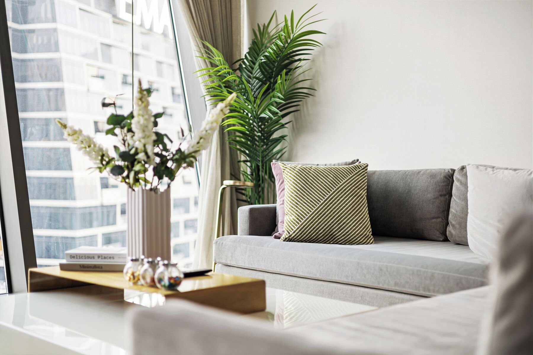 A modern living room with a grey sofa, a wooden coffee table, and a potted plant.
