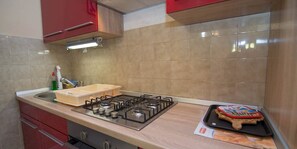 Fridge, stovetop, cookware/dishes/utensils