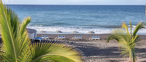 Una playa con palmeras, una orilla arenosa y una hilera de sillas y sombrillas.