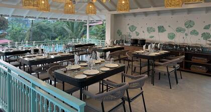 Yellowstone Resort Arambol