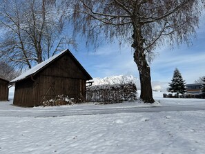 Exterior - Country house Weitblick (mitterberg)