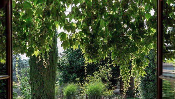 Ein Gartenpfad mit Blumentöpfen und Blumen, der zu einer Holztür führt.
