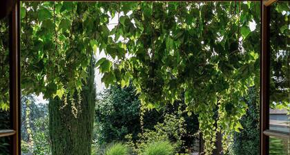 Small hunting lodge in the heart of the Beaujolais vineyards to welcome you