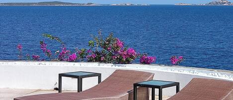 テラス / パティオ