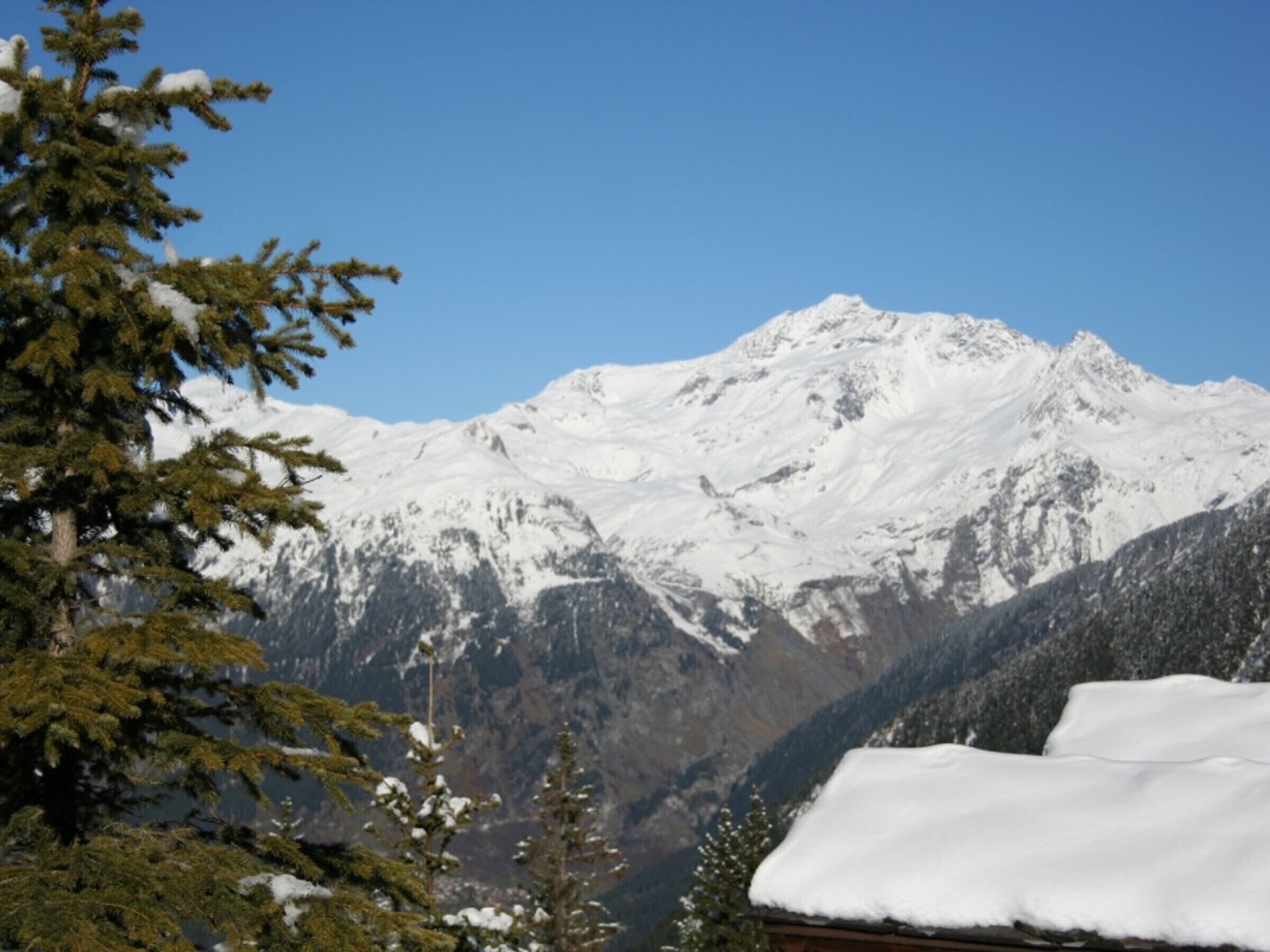 Een berglandschap met sneeuwbedekte toppen en naaldbomen.