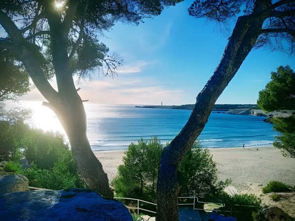 Una spiaggia nelle vicinanze