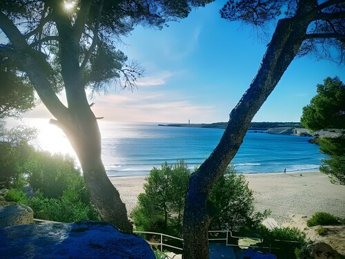 Gemütliche Ferienwohnung am Mittelmeerstrand – Côte Bleue, 50 m zum Sandstrand
