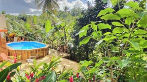 Ein hölzerner Pool, umgeben von üppiger Vegetation und tropischen Pflanzen.