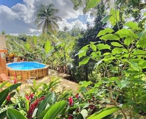 Ein hölzerner Pool, umgeben von üppiger Vegetation und tropischen Pflanzen.