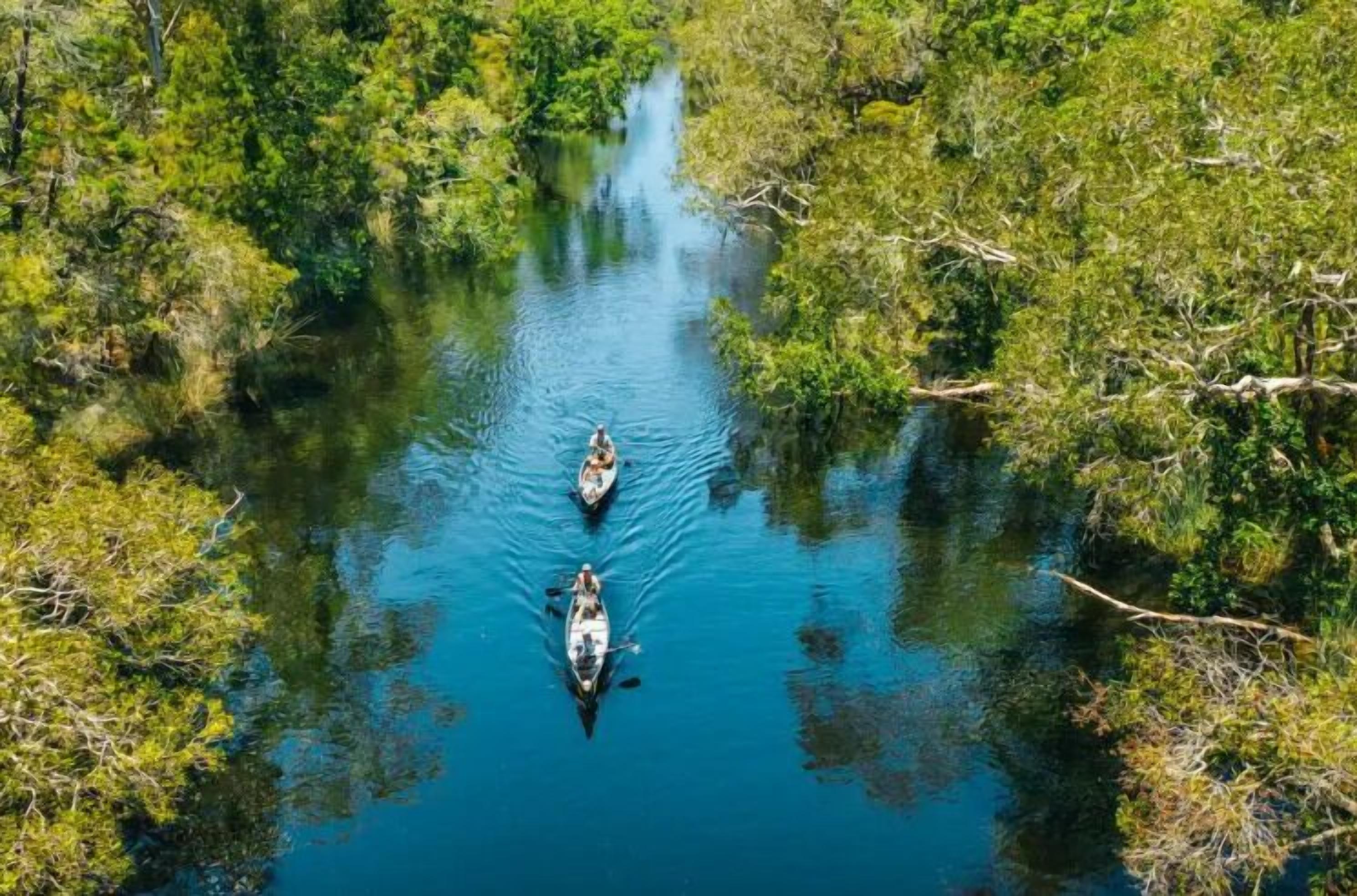 Un río rodeado de abundante vegetación.