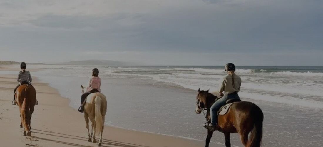 Three individuals riding horses along a beach.