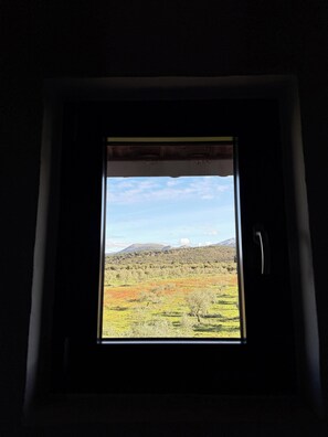 Suite, Mountain View | Bathroom | Free toiletries, hair dryer, towels, soap - La Guzmana de Ronda (Ronda)