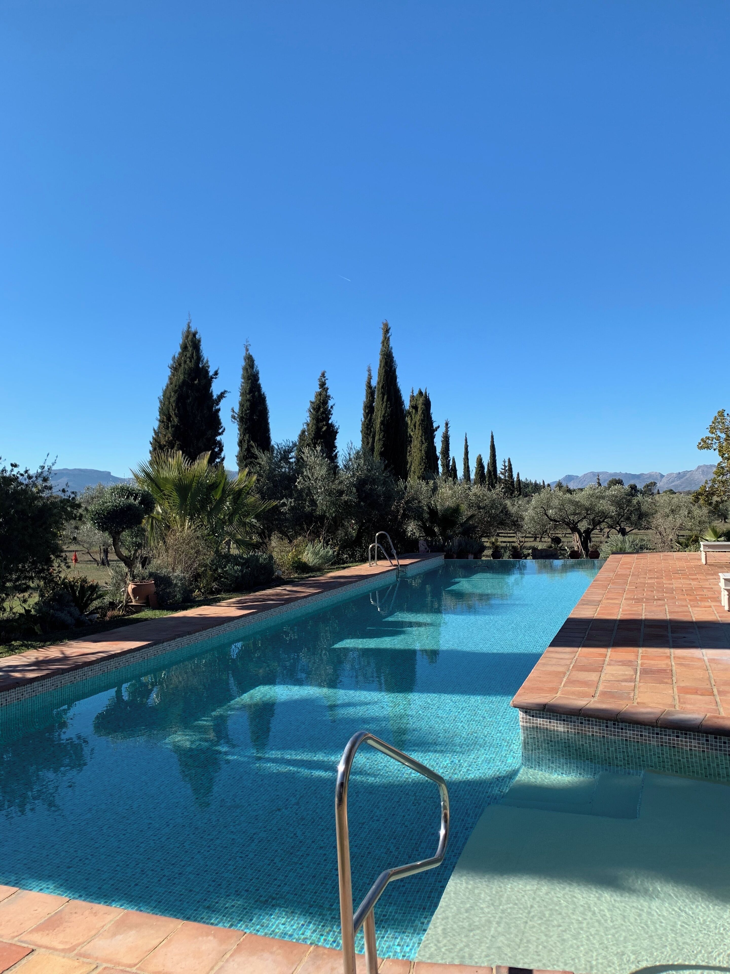 A clear blue pool with a tiled edge, surrounded by greenery and trees, under a clear sky.