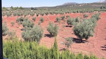 Minibar, nôi (giường cho trẻ sơ sinh) miễn phí